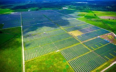How ESE is helping to make solar energy development more sustainable