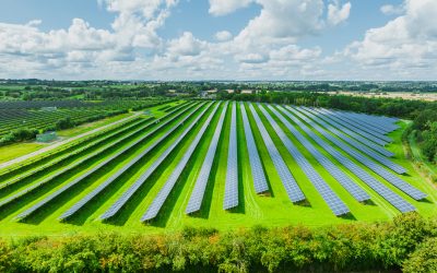 How Large Scale Solar is Creating Green Space