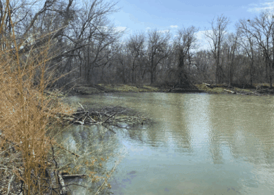 Biological Resource Evaluation