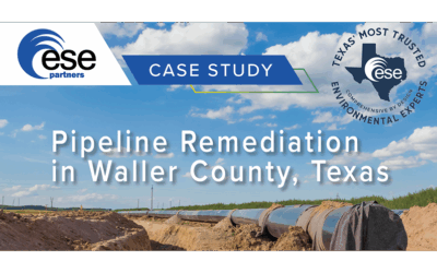 Pipeline Remediation in Waller County, Texas