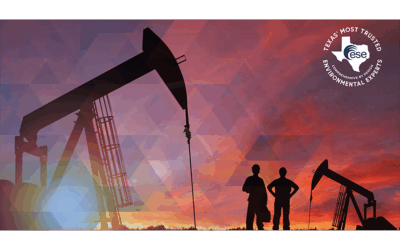 Texas at the Energy Crossroads: Balancing Oil, Gas, and Renewables