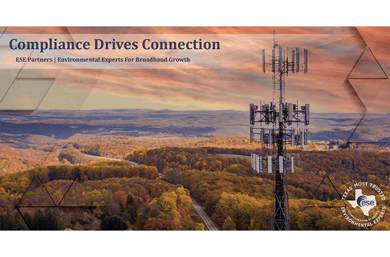 Cell tower overlooking expansive forest
