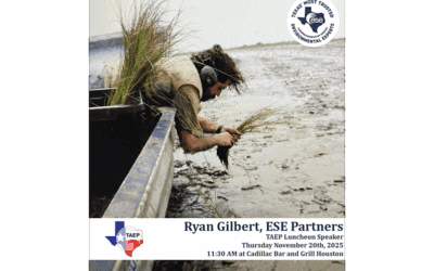 Advancing Nature-Based Shoreline Solutions: Ryan Gilbert to Present at TAEP Luncheon
