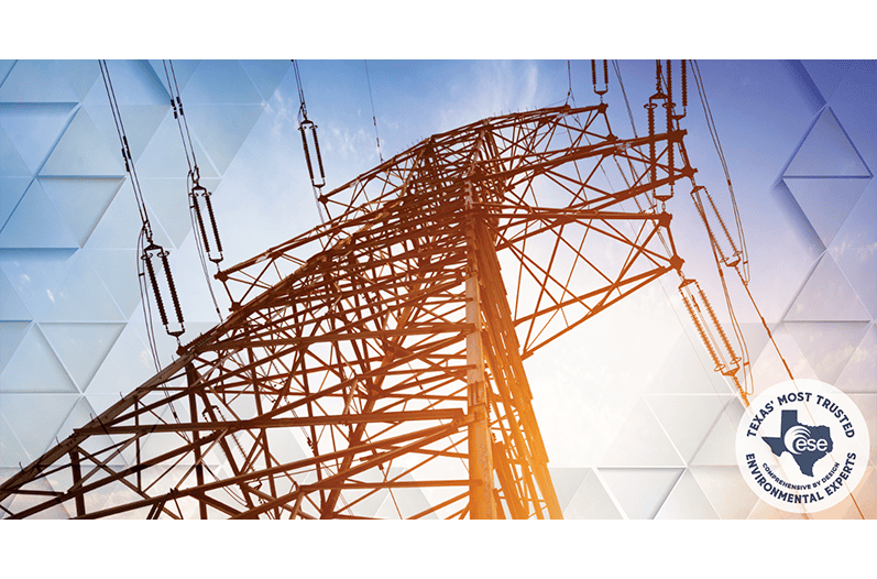 view of powerline from below