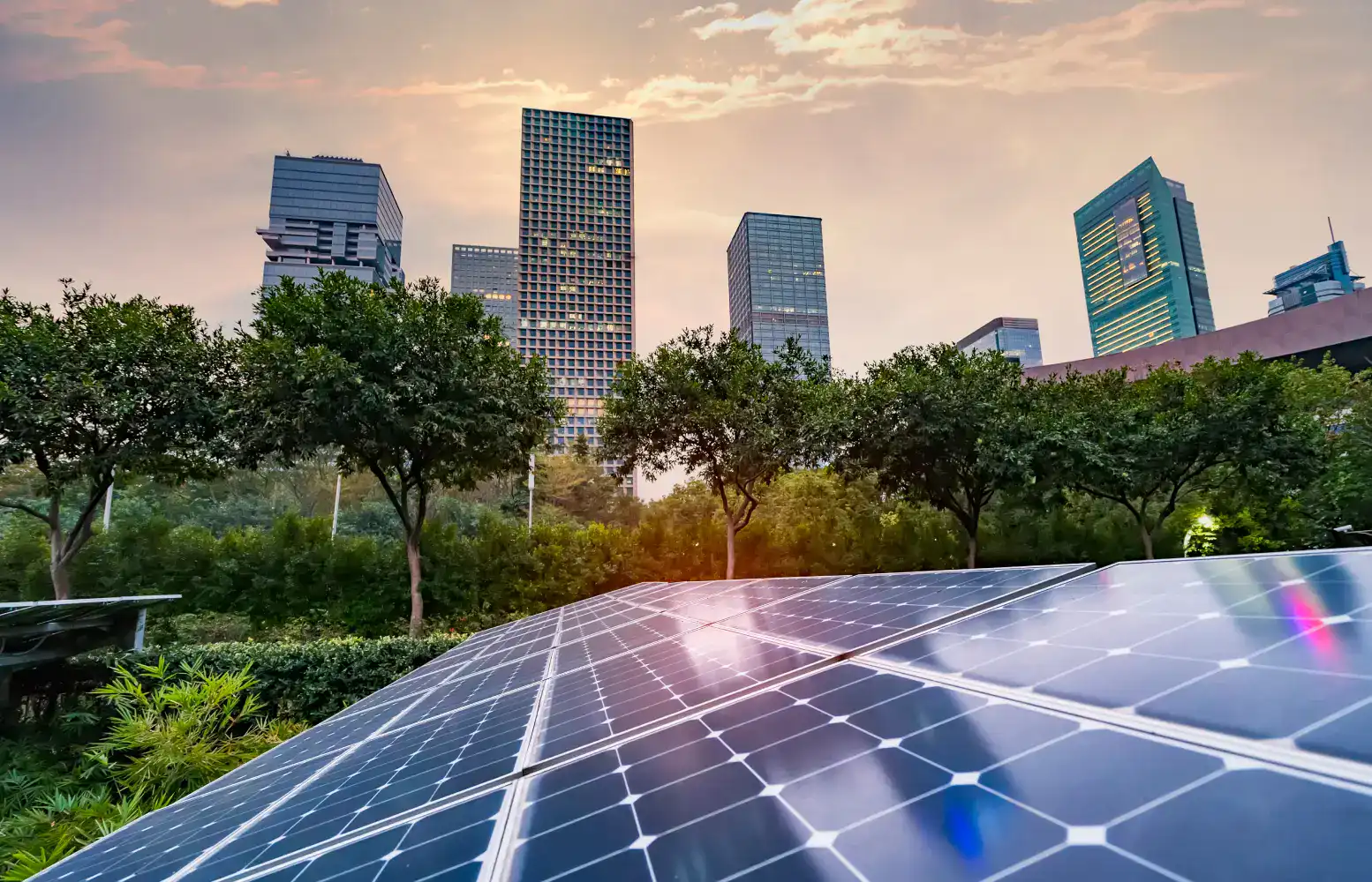 Renewable energy compliance services