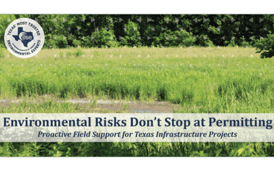 Beyond the Permit: Why Construction-Phase Environmental Oversight Matters in Texas