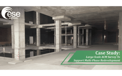 Planning for What You Can’t See: Managing Asbestos Risk in Large-Scale Retail Redevelopment
