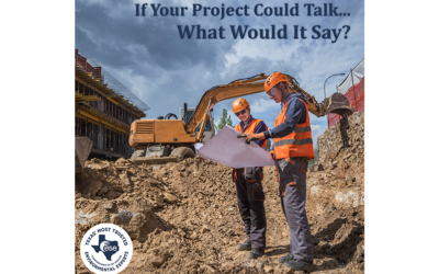 If Projects Could Talk: Why Timing Shapes Environmental Risk More Than Complexity