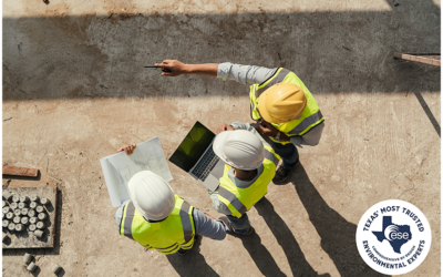 What Environmental Consultants Actually Do All Day