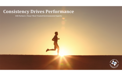 Consistency Is the Real Competitive Advantage in Environmental Performance