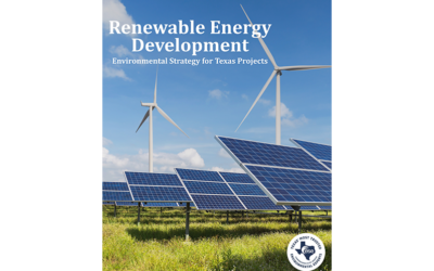 Renewable Energy Is Expanding Across Texas. Environmental Strategy Will Help Shape Its Future.