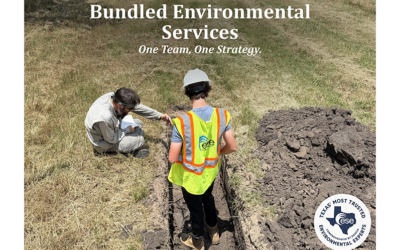 Why Bundled Environmental Services Lead to More Predictable Project Outcomes in Texas