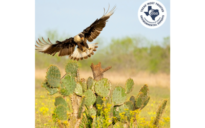 Did You Know? Texas Is Home to Hundreds of Species Found Nowhere Else on Earth