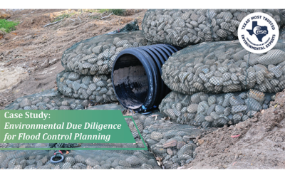Why Early Environmental Clarity Matters More Than a “Clean” Site