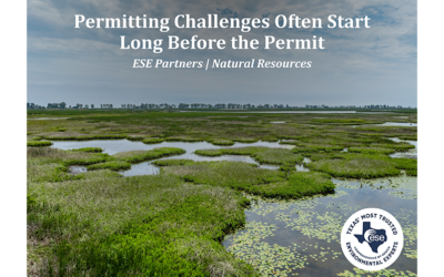 Why Natural Resources Shape Project Timelines Long Before Permitting Begins