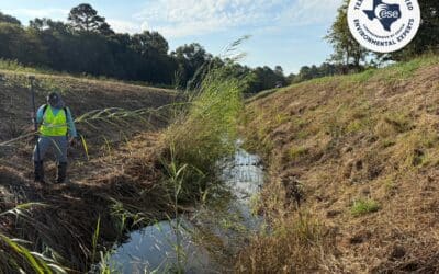 Why Environmental Compliance Is Essential for TWDB-Funded Water Infrastructure Projects