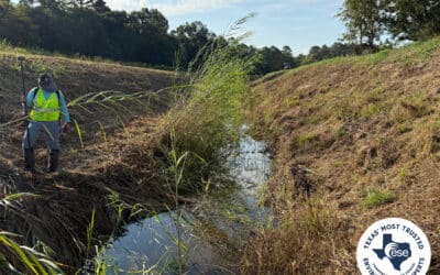 Why Understanding Texas Landscapes Early Leads to Better Project Outcomes