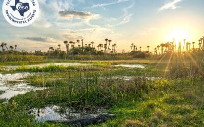Early Environmental Coordination in Texas Water Infrastructure: Reducing Risk Before Design Becomes Constraint