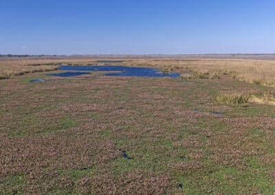 Water Resources Evaluation and Aquatic Resources Delineation