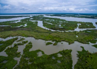 WOTUS Delineation for Public Infrastructure Project in Northwest Houston