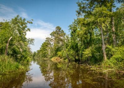 Emergency Response Cultural Resources Monitoring for Industrial Spill Compliance